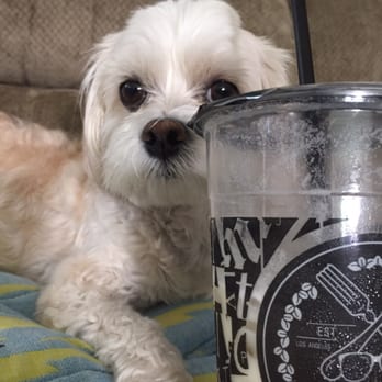 Boba Ave Express - Bubble Tea Near Me - Arcadia, California Boba Ave Express - Bubble Tea Near Me - Arcadia, California