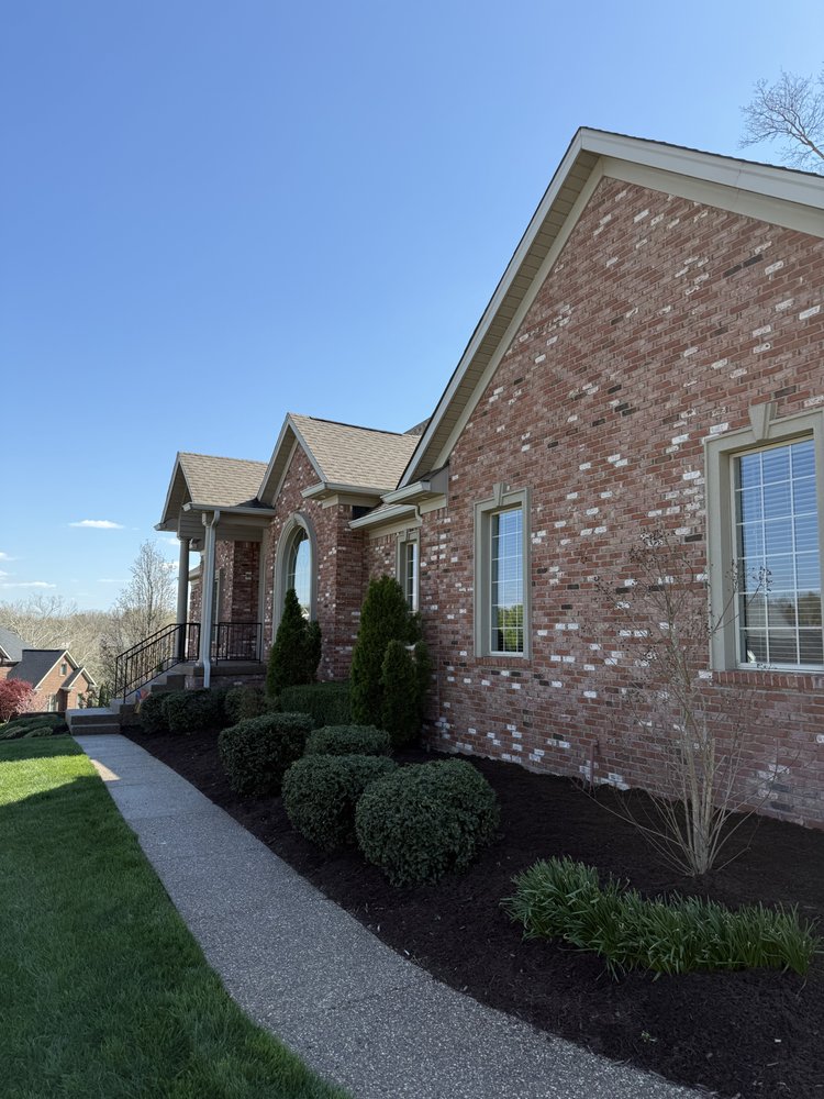 Diamond Cut Outdoor Solutions LLC - tree service in Louisville, KY