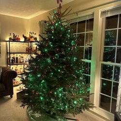 Grandma's Gardens & Landscape - Tree