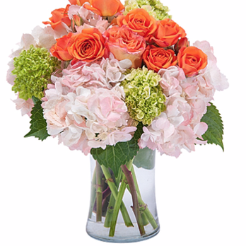 Hollon Flowers - Florists Near Me - Fairborn, Ohio
