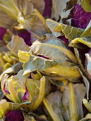 Evanston Farmers' Market by null