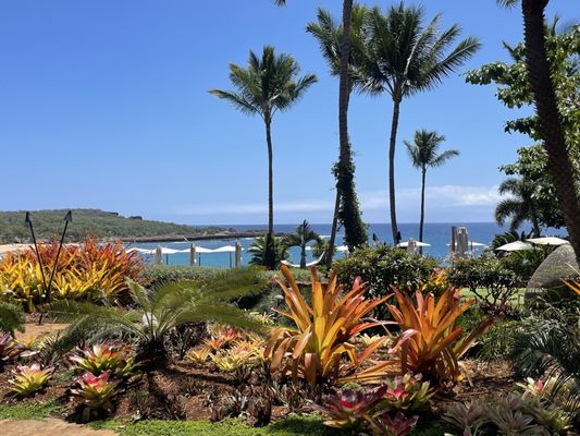 Malibu Farm Restaurant & Bar by null