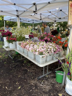 Green City Market Lincoln Park by null