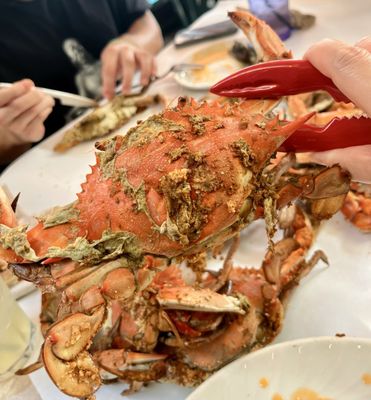 Quarterdeck by null Quarterdeck by null