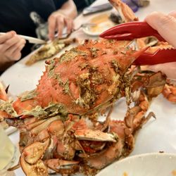 Quarterdeck - Large fresh steamed blue crab