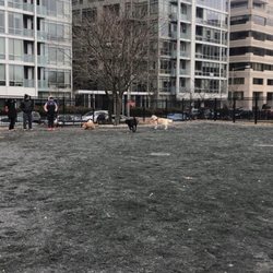 Francis Dog Park - View from inside the dog park