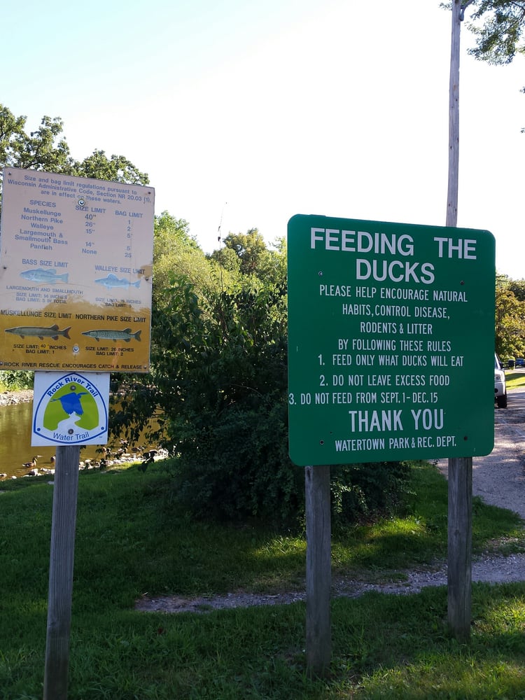 Social spots from Tivoli Island