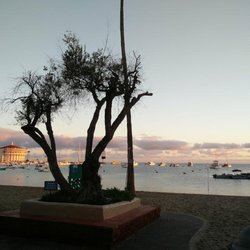 Catalina Island 5K Run/Walk