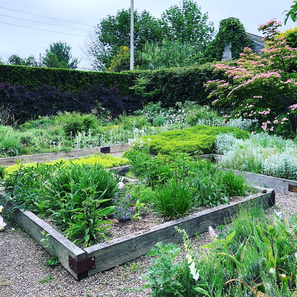 Tangled Garden - Herbs & Spices Near Me - Grand Pré, Nova Scotia