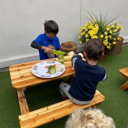 Little Panda Preschool - San Francisco