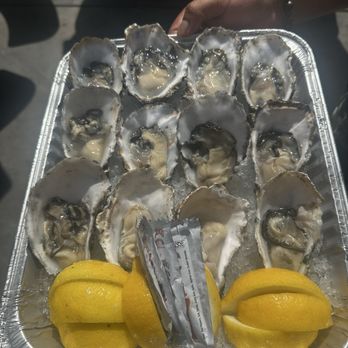 Quality Seafood - Fresh (Live) Baja Oysters - Seafood Markets Near Me - Redondo Beach, California Quality Seafood - Fresh (Live) Baja Oysters - Seafood Markets Near Me - Redondo Beach, California