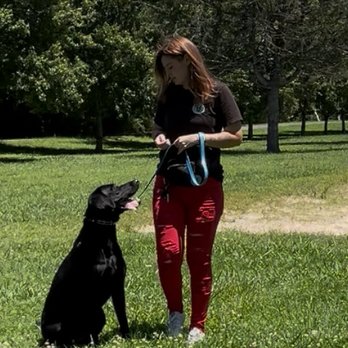 Koda's Canine Academy - Pet Boarding Near Me - Solon, Maine Koda's Canine Academy - Pet Boarding Near Me - Solon, Maine