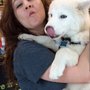 Hillary Loves Pets