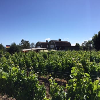 Peter Cellars - Gorgeous, intimate wine cellar/vineyard - Wine Tasting Room Near Me - Sonoma, California Peter Cellars - Gorgeous, intimate wine cellar/vineyard - Wine Tasting Room Near Me - Sonoma, California