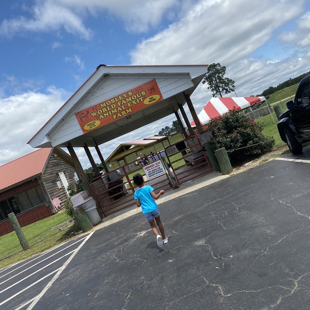 Mosley's World Famous 'Animal Exit' Farm - Petting Zoos Near Me Mosley's World Famous 'Animal Exit' Farm - Petting Zoos Near Me