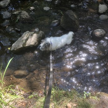Hinkle Creek Nature Area - Sweet little stop off to cool off and play a little, while I had a water and snack! - Hiking Near Me - Folsom, California