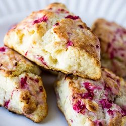 Coffee Gallery - Scones