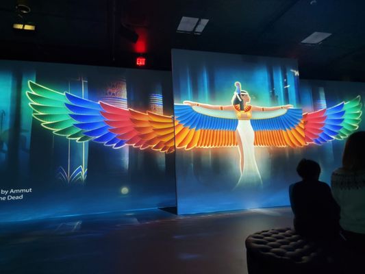 National Geographic Museum of Exploration by null