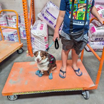 The Home Depot - My son and his service dog training. This is to help the service dog get used to carts if necessary. - Hardware Stores Near Me - Scottsdale, Arizona The Home Depot - My son and his service dog training. This is to help the service dog get used to carts if necessary. - Hardware Stores Near Me - Scottsdale, Arizona