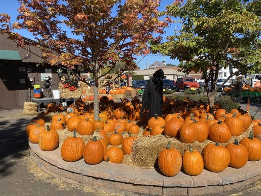 Farmers market in Kirkwood by null