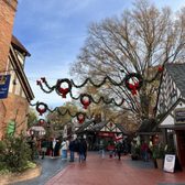 Can You Bring a Backpack to Busch Gardens: Ultimate Packing Guide