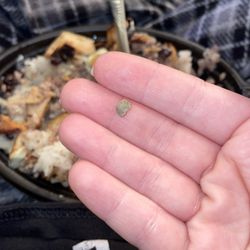 Pollo Tropical - Almost ate a ROCK PEBBLE. Not sure how that's possible