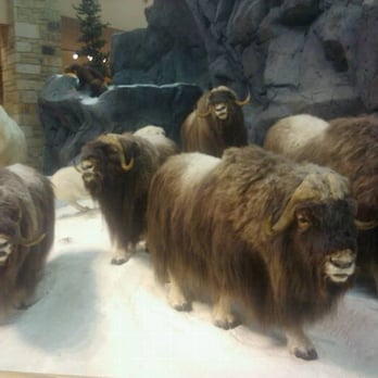 Cabela's - Outdoor Gear Near Me - Fort Worth, Texas