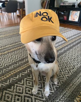 The Nook on Robinson by null