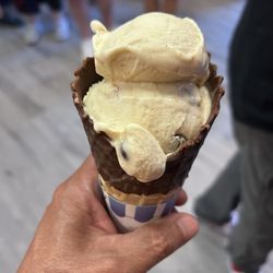 Whit's Frozen Custard - Vegan chunky monkey