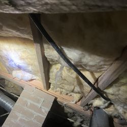 Southeast Plumbing & Gas - CSST gas line in crawl space for new range in kitchen.