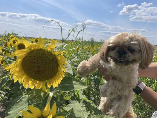 Columbia Bottom Conservation Area by null
