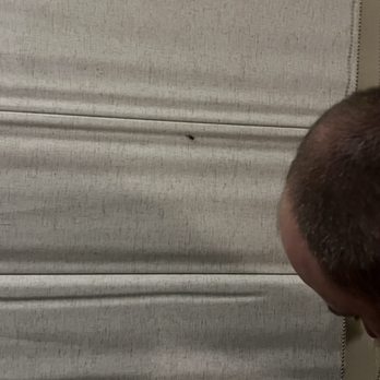 The Western Hotel & Spa - Bugs in the curtains, in the tub, in the sink, on the bed. - Hotels Near Me - Ouray, Colorado The Western Hotel & Spa - Bugs in the curtains, in the tub, in the sink, on the bed. - Hotels Near Me - Ouray, Colorado