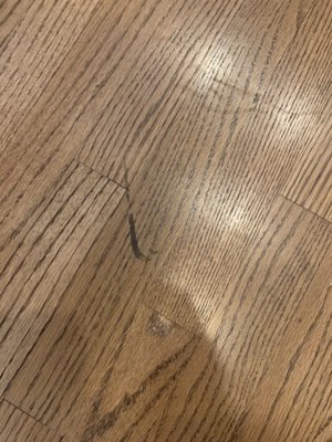 Low-Co Sewer & Drain Logo