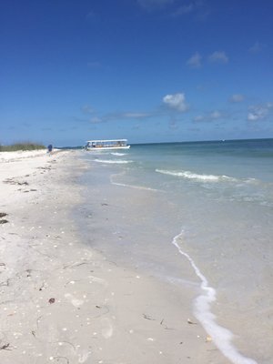 Hubbard's Marina - Madeira Beach, FL