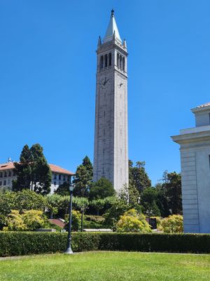 The Campanile by null