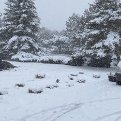 Renew Plumbing Services