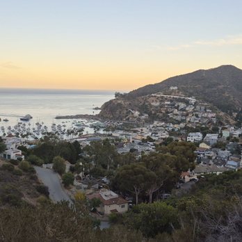 Catalina Zip Line Eco Tour - View on the way up to the ziplines!. - Ziplining Near Me - Avalon, California Catalina Zip Line Eco Tour - View on the way up to the ziplines!. - Ziplining Near Me - Avalon, California