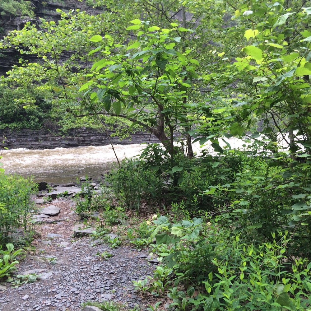 Ithaca Falls - Hiking Near Me