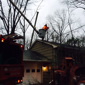 East Coast Tree Experts - Tree Services Near Me - Boonton, New Jersey East Coast Tree Experts - Tree Services Near Me - Boonton, New Jersey