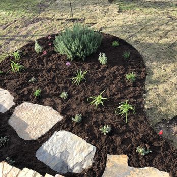 Ol' Yeller Landscaping - flower bed in a backyard - Landscaping Near Me - Kyle, Texas Ol' Yeller Landscaping - flower bed in a backyard - Landscaping Near Me - Kyle, Texas