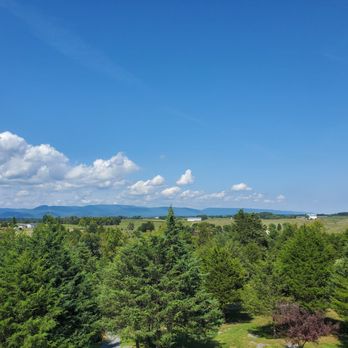 Shenandoah Wine Tours - Wine Tours Near Me