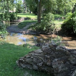 Shiawassee Park