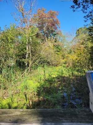 Audubon Society of Rhode Island Nature Center and Aquarium by null