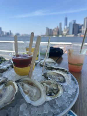 Island Oyster by null