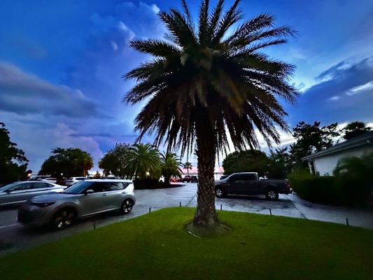 Jekyll Island by null