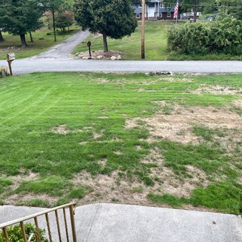 TruGreen Lawn Care - My front lawn neglected after numerous service call requests for treatment. Went on for 2 months without them treating for chick bugs. - Pest Control Near Me - Upper Saddle River, New Jersey TruGreen Lawn Care - My front lawn neglected after numerous service call requests for treatment. Went on for 2 months without them treating for chick bugs. - Pest Control Near Me - Upper Saddle River, New Jersey