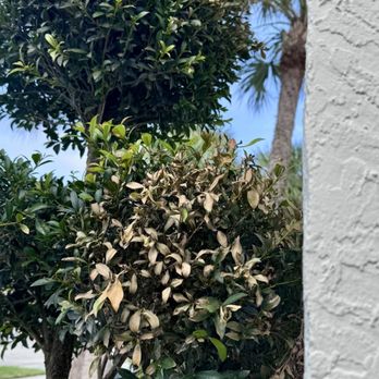 Curt's Pressure Cleaning - Plants - Pressure Washers Near Me