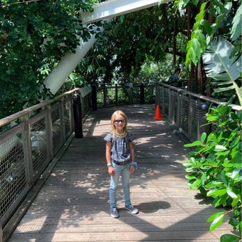 Rainforest Pyramid - Botanical Gardens Near Me - Galveston, Texas Rainforest Pyramid - Botanical Gardens Near Me - Galveston, Texas