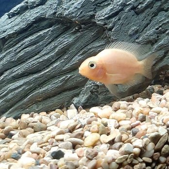 Fish World - Pet Stores Near Me - Liberal, Kansas