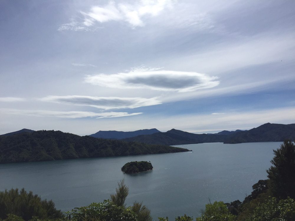 Wellington Adventures